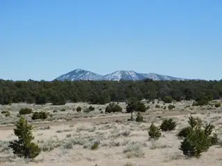 LOT 81 Artesian Avenue, Quemado 