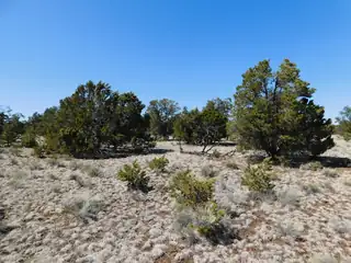 LOT 81 Artesian Avenue 