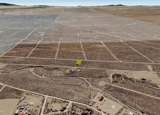 Iguana (U9 B37 L33) Road SW 