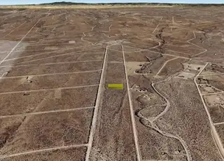 Iguana (U9 B37 L33) Road SW 