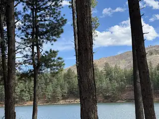 27750 Highway 126 Highway View