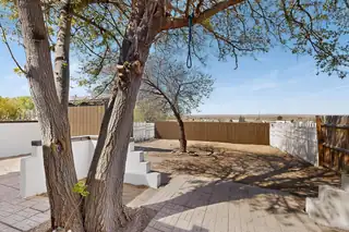 503 Maddox Loop Backyard