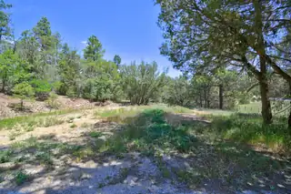 146 Skyland Boulevard 