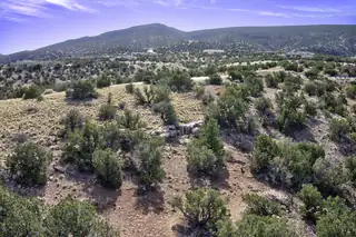 Diamond Tail Phase II Lot 115A 