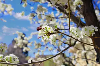 4806 La Cienega Street NW View