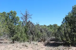 19 Camino Monte Azul 