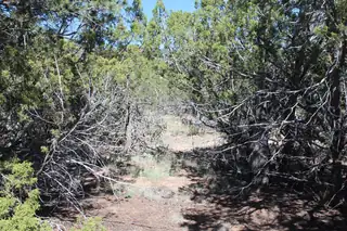 19 Camino Monte Azul 