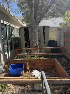 3004 Matador Drive NE Backyard