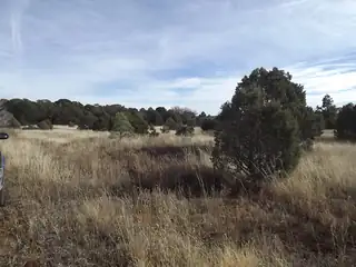 38 Quail Hollow Road 