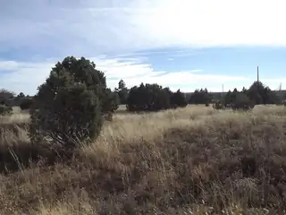 38 Quail Hollow Road 