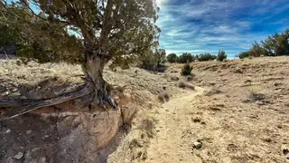 5 Cedar Vista Court, Algodones 