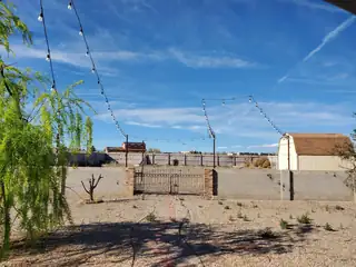 1881 17th Avenue SE Backyard