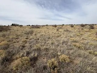 Lot 66 W Campground Lane 