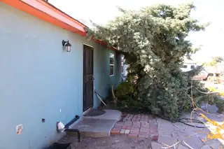 603 Coulson Drive Exterior Other