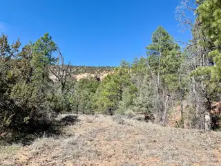 Elk W Elk Drive 44 and 45 