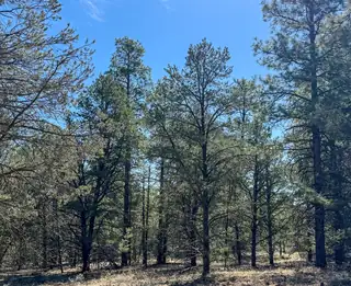 Elk W Elk Drive 44 and 45 