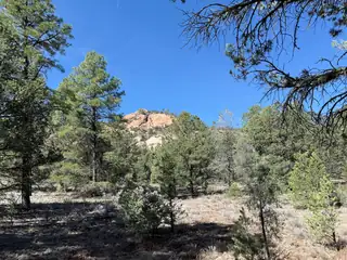 Elk W Elk Drive 44 and 45 