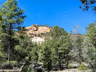 Elk W Elk Drive 44 and 45 