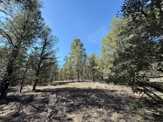 Elk W Elk Drive 44 and 45 