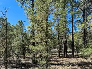 Elk W Elk Drive 44 and 45 