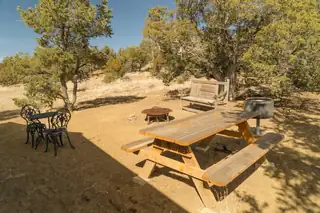 15 Victoria Court Backyard