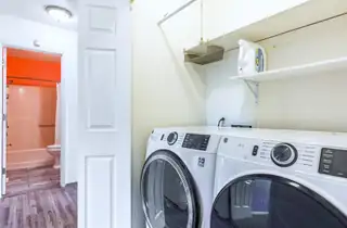 555 Vegas Drive Backyard