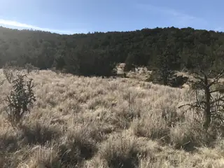 43 Canon Escondido Place 