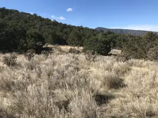 43 Canon Escondido Place 