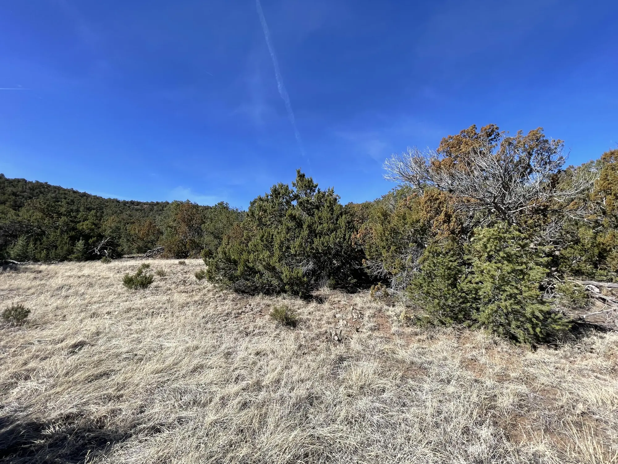 41 Canon Escondido Place