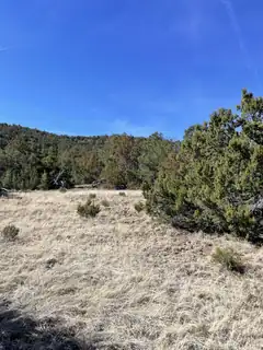 41 Canon Escondido Place 