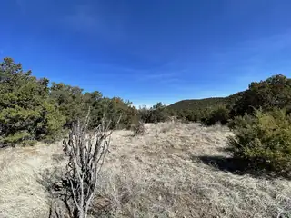 41 Canon Escondido Place 