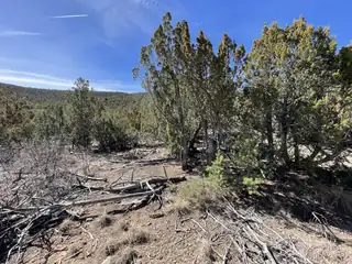 41 Canon Escondido Place 