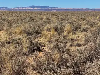 S: 36 T: 7N R: 1W LOT 17 