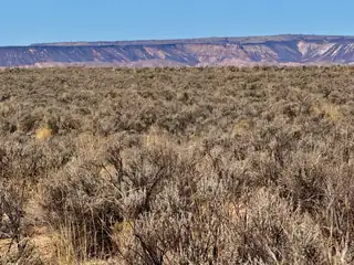 S: 36 T: 7N R: 1W LOT 17 