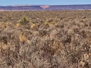 S: 36 T: 7N R: 1W LOT 17 