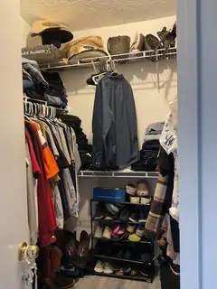 423 Sharp Spur Street SW Closet