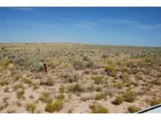 3011 Terrene Road NE 