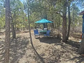 1 Dove Road Backyard