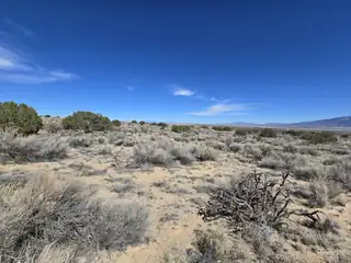 3821 Jennifer Road NE 