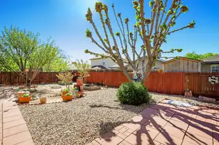 6700 Tierra Vista Avenue NW Backyard
