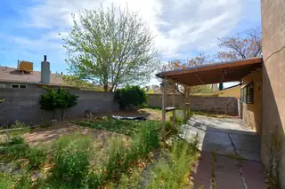 6900 Luella Anne Drive NE Backyard