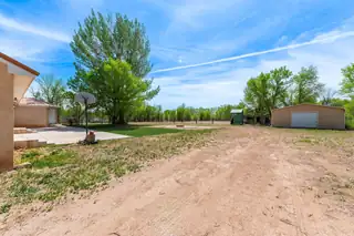 42 Crawford Road Backyard