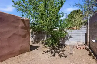 608 Mountain View Avenue NE Backyard