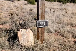 558 Deer Canyon Trail 