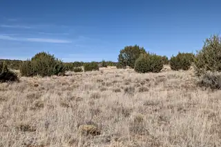 558 Deer Canyon Trail 