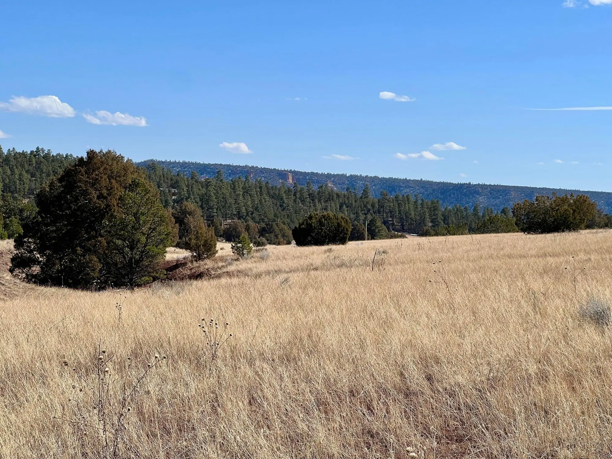 Lot 9 Juniper Drive