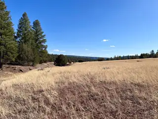 Lot 9 Juniper Drive 