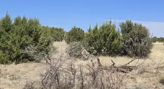 0 Lakewood Lot 16 Road 