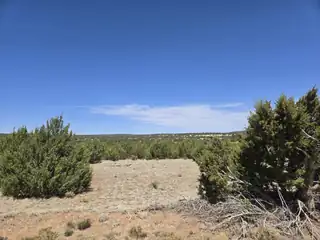 0 Lakewood Lot 16 Road 