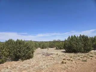 0 Lakewood Lot 16 Road 